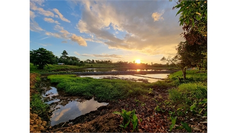 Willandaise Agri-Farm Corporation